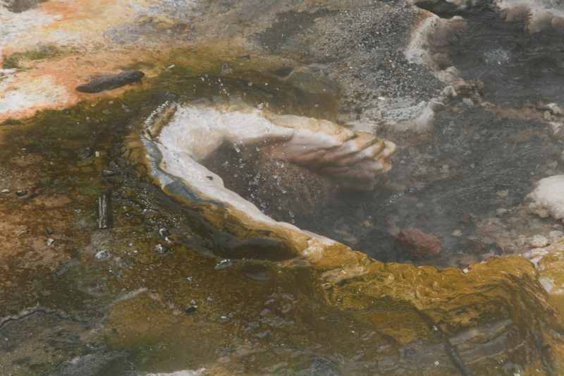 Nieuw-Zeeland 2011 - 0704